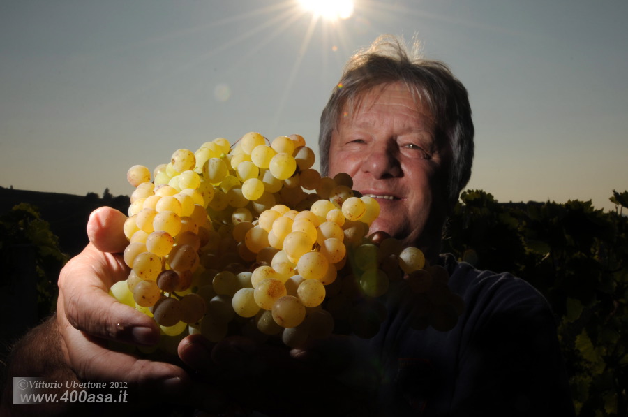 Vendemmia del Moscato alla Caudrina - fotografia di Vittorio Ubertone