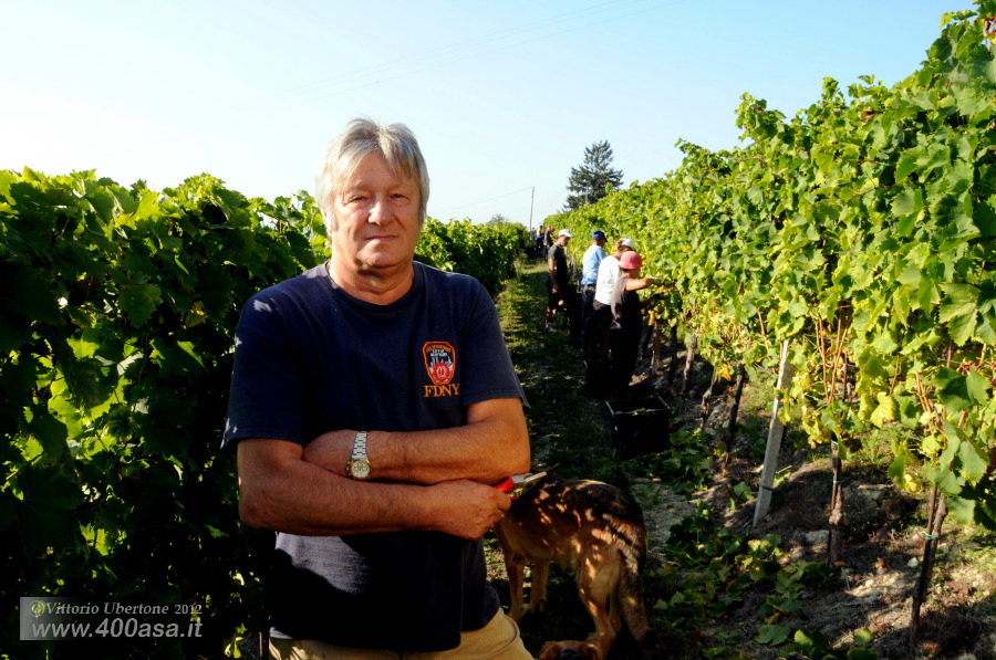 Vendemmia del Moscato alla Caudrina - fotografia di Vittorio Ubertone