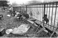 1994 Alluvione del fiume Tanaro ad Asti e provincia © Vittorio Ubertone - www.400asa.photo - 
www.saporidelpiemonte.net