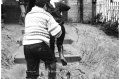 1994 Alluvione del fiume Tanaro ad Asti e provincia © Vittorio Ubertone - www.400asa.photo - 
www.saporidelpiemonte.net