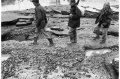 1994 Alluvione del fiume Tanaro ad Asti e provincia © Vittorio Ubertone - www.400asa.photo - 
www.saporidelpiemonte.net