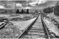 1994 Alluvione del fiume Tanaro ad Asti e provincia © Vittorio Ubertone - www.400asa.photo - 
www.saporidelpiemonte.net