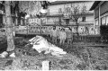 1994 Alluvione del fiume Tanaro ad Asti e provincia © Vittorio Ubertone - www.400asa.photo - 
www.saporidelpiemonte.net