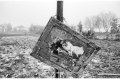 1994 Alluvione del fiume Tanaro ad Asti e provincia © Vittorio Ubertone - www.400asa.photo - 
www.saporidelpiemonte.net