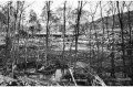 1994 Alluvione del fiume Tanaro ad Asti e provincia © Vittorio Ubertone - www.400asa.photo - 
www.saporidelpiemonte.net