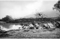 1994 Alluvione del fiume Tanaro ad Asti e provincia © Vittorio Ubertone - www.400asa.photo - 
www.saporidelpiemonte.net