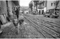 1994 Alluvione del fiume Tanaro ad Asti e provincia © Vittorio Ubertone - www.400asa.photo - 
www.saporidelpiemonte.net