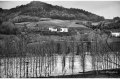 1994 Alluvione del fiume Tanaro ad Asti e provincia © Vittorio Ubertone - www.400asa.photo - 
www.saporidelpiemonte.net