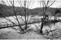 1994 Alluvione del fiume Tanaro ad Asti e provincia © Vittorio Ubertone - www.400asa.photo - 
www.saporidelpiemonte.net