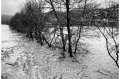 1994 Alluvione del fiume Tanaro ad Asti e provincia © Vittorio Ubertone - www.400asa.photo - 
www.saporidelpiemonte.net