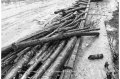 1994 Alluvione del fiume Tanaro ad Asti e provincia © Vittorio Ubertone - www.400asa.photo - 
www.saporidelpiemonte.net