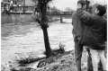 1994 Alluvione del fiume Tanaro ad Asti e provincia © Vittorio Ubertone - www.400asa.photo - 
www.saporidelpiemonte.net