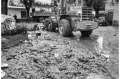 1994 Alluvione del fiume Tanaro ad Asti e provincia © Vittorio Ubertone - www.400asa.photo - 
www.saporidelpiemonte.net