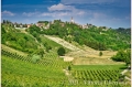 17 giugno 2021 Vinchio - Cantina sociale Vinchio e Vaglio - fotografia di Vittorio Ubertone