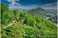 17 giugno 2021 Vinchio - Cantina sociale Vinchio e Vaglio - fotografia di Vittorio Ubertone