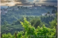 17 giugno 2021 Vinchio - Cantina sociale Vinchio e Vaglio - fotografia di Vittorio Ubertone