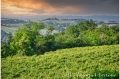 17 giugno 2021 Vinchio - Cantina sociale Vinchio e Vaglio - fotografia di Vittorio Ubertone