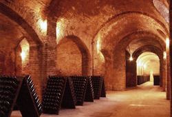 Cantine storiche canellesi - nella foto Cantina Bosca - al centro del Progetto Unesco