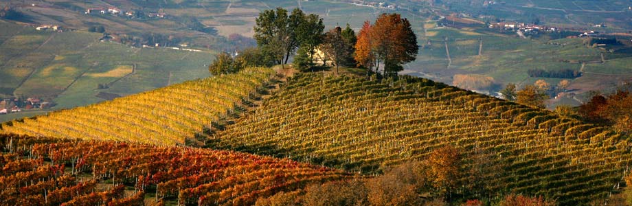 colline-barolo