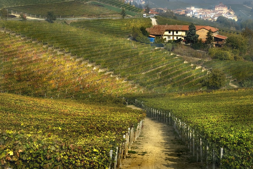 impianti-barolo